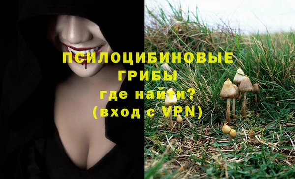 ALPHA PVP Белокуриха