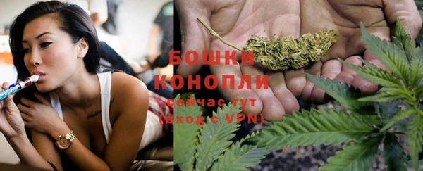 кокс Богородицк